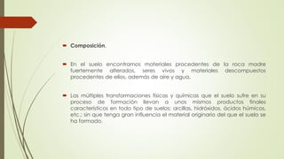  Composición.
 En el suelo encontramos materiales procedentes de la roca madre
fuertemente alterados, seres vivos y materiales descompuestos
procedentes de ellos, además de aire y agua.
 Las múltiples transformaciones físicas y químicas que el suelo sufre en su
proceso de formación llevan a unos mismos productos finales
característicos en todo tipo de suelos: arcillas, hidróxidos, ácidos húmicos,
etc.; sin que tenga gran influencia el material originario del que el suelo se
ha formado.
 