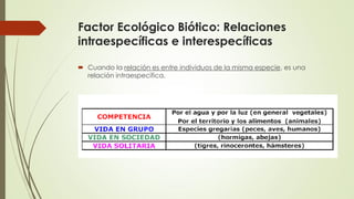 Factor Ecológico Biótico: Relaciones
intraespecíficas e interespecíficas
 Cuando la relación es entre individuos de la misma especie, es una
relación intraespecífica.
 
