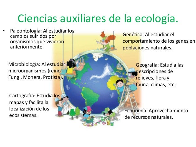 Ecologia y medio ambiente