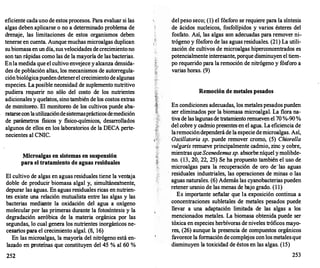 eficiente cadauno de estos procesos. Para evaluar si las
algas deben aplicarse o no a determinado problema de
drenaje, las limitaciones de estos organismos deben
tenerse en cuenta. Aunque muchas microalgas duplican
subiomasa en un día, sus velocidades de crecimientono
son tan rápidas como las de la mayoría de las bacterias.
Enla medida que el cultivo envejece y alcanza densida­
des de población altas, los mecanismos de autorregula­
ciónbiológicapuedendetenerel crecimiento de algunas
especies. La posible necesidad de suplemento nutritivo
pudiera requerir no sólo del costo de los nutrientes
adicionales y quel�tos, sino también de los costos extras
de monitoreo. El monitoreo de los cultivos puede aba­
ratarsecon lautilizacióndesistemasprácticosdemedición
de parámetros fisicos y fisico-químicos, desarr
ollados
algunos de ellos en los laboratorios de la DECA perte­
necientes al CNIC.
Microalgas en sistemas en suspensión
para el tratamiento de aguas residuales
El cultivo de algas en aguas residuales tiene la ventaja
doble de producir biomasa algal y, simultáneamente,
depurar las aguas. En aguas residuales ricas en nutrien­
tes existe una relación mutualista entre las algas y las
bacterias mediante la oxidación deLagua a oxígeno
molecular por las primeras durante la fotosíntesis y la
degradación aeróbica de la. materia orgánica por las
segundas, lo cual genera los nutrientes inorgánicos ne­
cesarios para el crecimiento algal. (8, 16)
En las microalgas, la mayoría del nitrógeno está en­
lazado en proteínas que constituyen del 45 % al 60 %
252
delpeso seco; (1) el fósforo se requiere para la síntesis
de ácidos nucleicos, fosfolípidos y varios ésteres del
fosfato. Así, las algas son adecuadas para remover ni-·
trógeno y fósforo de las aguas residuales. (21) La utili­
zación de cultivos de microalgas hiperconcentrados es
potencialmente interesante, porque disminuyen el tiem­
po requerido para la remoción de nitrógeno y fósforo a
varias horas. (9)
Remoción de metales pesados
En condiciones adecuadas, los metales pesados pueden
ser eliminados por la biomasa microalgal. La flora na­
tiva de laslagunasde tratamiento remueven el 70 %-90 %
del cobre y cadmio presentes en el agua. La eficiencia de
laremocióndependerá de la especie demicroalgas. Así,
Oscillatoria sp. puede remover cromo, (5) Chiorella
vu/garis remueve principalmente cadmio, zinc y cobre,
mientras queScenedemus sp. absorbe níquel ymolibde­
no. (13, 20, 22, 25) Se ha propuesto también el uso de
microalgas para la recuperación de oro de'las aguas
· residuales industriales, las operaciones de minas o las
aguas naturales. (6) Además las cyanobacterias pueden
retener uranio de las menas de bajo grado. (1 1)
Es importante señalar que la exposición continua a
concentraciones subletales de metales pesados puede
llevar a una adaptación limitada de las algas a los
mencionados metales. La biomasa obtenida puede ser
tóxica en especies herbívoras de niveles tróficos mayo­
res, (26) aunque la presencia de compuestos orgánicos
favorece la formación de complejos con los metalesque
disminuyen la toxicidad de éstos en las algas. (15)
253
 