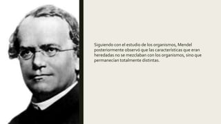 Siguiendo con el estudio de los organismos, Mendel
posteriormente observó que las características que eran
heredadas no se mezclaban con los organismos, sino que
permanecían totalmente distintas.
 