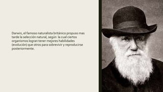 Darwin, el famoso naturalista británico propuso mas
tarde la selección natural, según la cual ciertos
organismos logran tener mejores habilidades
(evolución) que otros para sobrevivir y reproducirse
posteriormente.
 