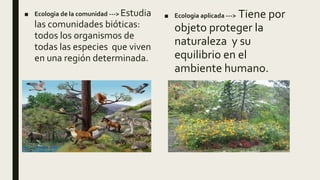 ■ Ecologia de la comunidad ---> Estudia
las comunidades bióticas:
todos los organismos de
todas las especies que viven
en una región determinada.
■ Ecologia aplicada ---> Tiene por
objeto proteger la
naturaleza y su
equilibrio en el
ambiente humano.
 