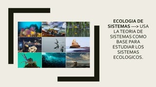 ECOLOGIA DE
SISTEMAS ---> USA
LATEORIA DE
SISTEMAS COMO
BASE PARA
ESTUDIAR LOS
SISTEMAS
ECOLOGICOS.
 