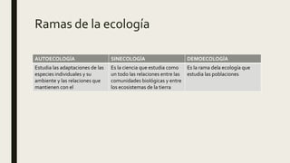 Ramas de la ecología
AUTOECOLOGÍA SINECOLOGÍA DEMOECOLOGÍA
Estudia las adaptaciones de las
especies individuales y su
ambiente y las relaciones que
mantienen con el
Es la ciencia que estudia como
un todo las relaciones entre las
comunidades biológicas y entre
los ecosistemas de la tierra
Es la rama dela ecología que
estudia las poblaciones
 