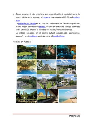 Página 23
 Sector terciario: el más importante por su contribución al producto interno del
estado, destacan el turismo y el comercio, que aportan el 63,2% del producto
bruto.
La península de Yucatán en su conjunto, y el estado de Yucatán en particular,
es una región con vocación turística, de ahí que el turismo se haya convertido
en los últimos 25 años en la actividad con mayor potencial económico.
La entidad sobresale en el turismo cultural (arqueológico, gastronómico,
histórico) y en el ecológico, particularmente el espeleológico.
Turismo en Yucatán
 