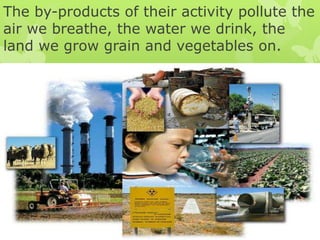 The by-products of their activity pollute the
air we breathe, the water we drink, the
land we grow grain and vegetables on.
 