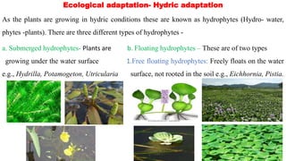 Ecological Adaptation ppt.pptx | Free Download