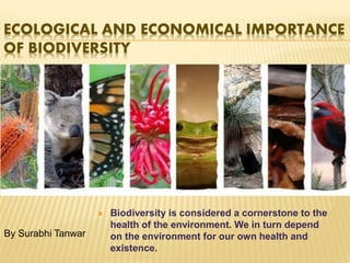 ECOLOGICAL AND ECONOMICAL IMPORTANCE
OF BIODIVERSITY
 Biodiversity is considered a cornerstone to the
health of the environment. We in turn depend
on the environment for our own health and
existence.
By Surabhi Tanwar
 