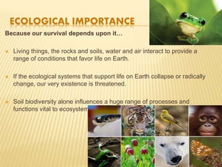 Ecological and economical importance of biodiversity | PPTX