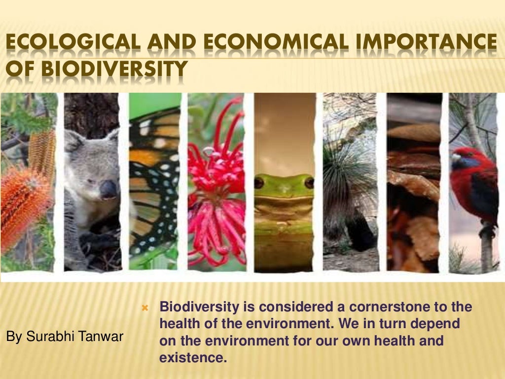 Ecological and economical importance of biodiversity