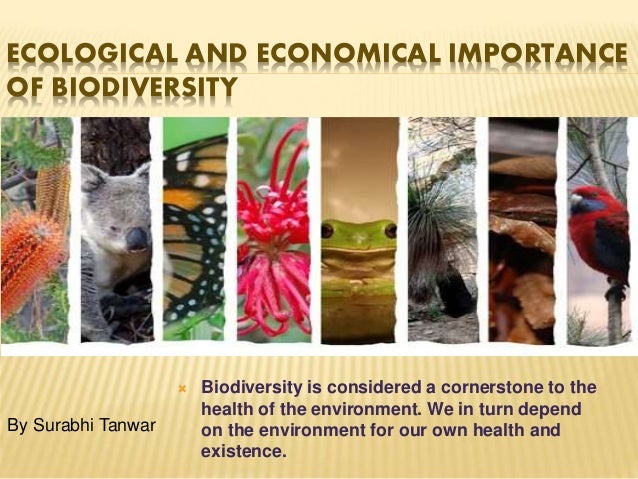 importance of biodiversity