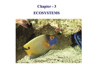 ECOSYSTEMS
Chapter - 3
 