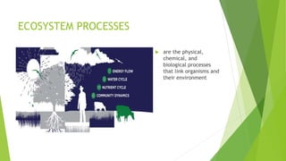 ECOLOGICAL CONCEPTS ON NATURAL RESOURCES.pptx