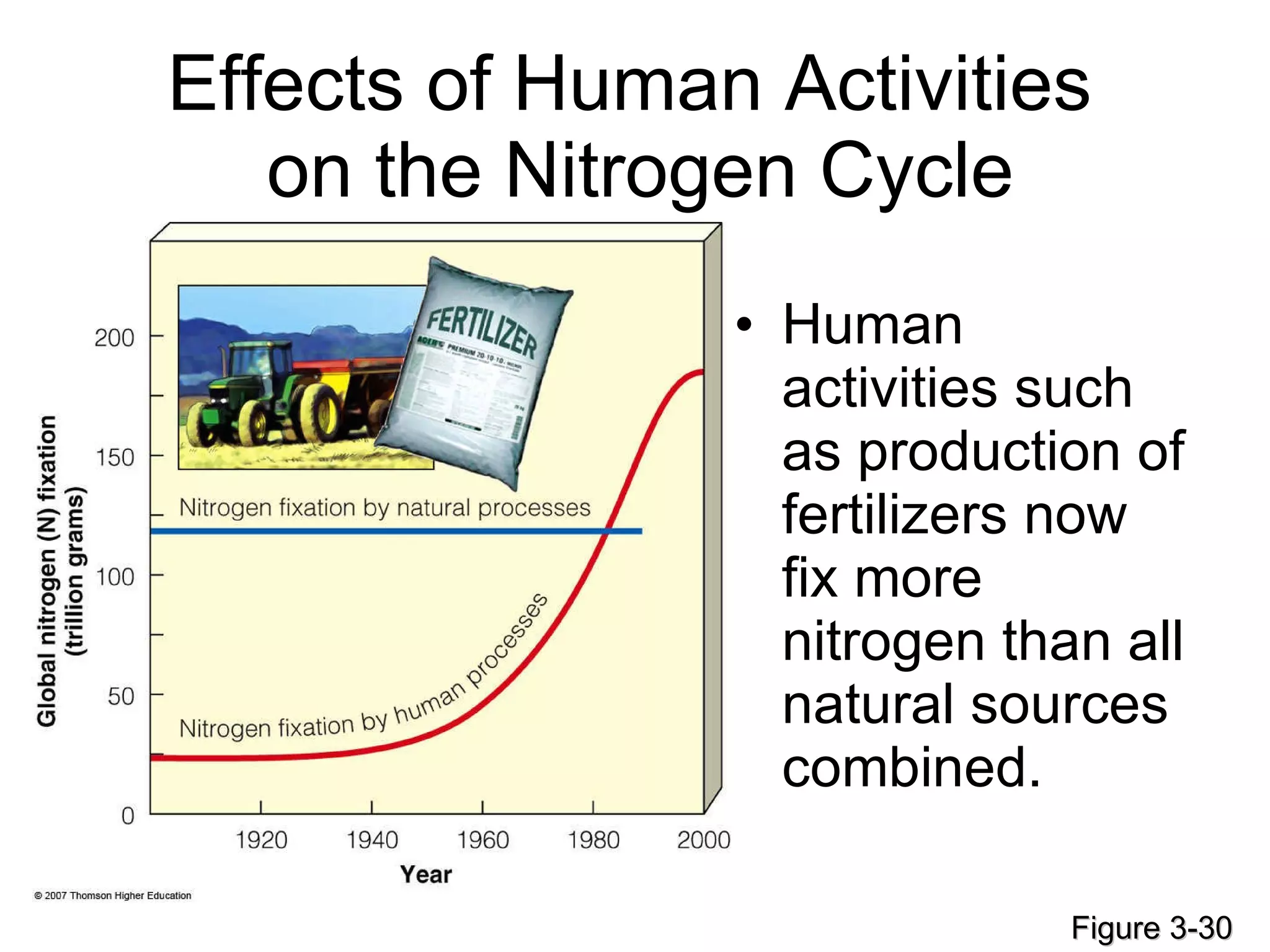 Effects of Human Activities  on the Nitrogen Cycle Human activities such as production of fertilizers now fix more nitrogen than all natural sources combined. Figure 3-30 