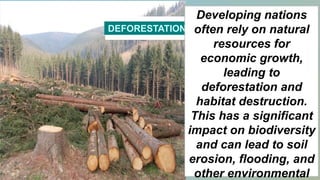 Deforestation For Development Ecological_Degradation.ppt.pptx