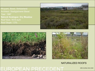 Rhypark, Basel, Switzerland
Architect: Stadtgärtnerei Basel
Year: 1987
Natural Analogue: Dry Meadow
Roof Size: 1615 sq.ft.
Roof Slope: 1.5%




                                  NATURALIZED ROOFS

EUROPEAN PRECEDENT                            slide courtesy rana creek
 