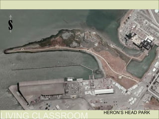 S




    HERON’S HEAD PARK
 