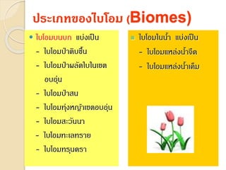 ประเภทของไบโอม (Biomes)
 ไบโอมบนบก แบ่งเป็น
- ไบโอมป่าดิบชื้น
- ไบโอมป่าผลัดใบในเขต
อบอุ่น
- ไบโอมป่าสน
- ไบโอมทุ่งหญ้าเขตอบอุ่น
- ไบโอมสะวันนา
- ไบโอมทะเลทราย
- ไบโอมทรุนดรา
 ไบโอมในน้า แบ่งเป็น
- ไบโอมแหล่งน้าจืด
- ไบโอมแหล่งน้าเค็ม
 