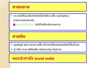 หาดทราย
 กระแสน้าขึ้นลงเป็นปัจจัยหนึ่งทาให้ความชื้น อุณหภูมิของ
หาดทรายแตกต่างกัน
กระแสน้าขึ้นน้าลง สิ่งมีชีวิตที่อาศัยหาดทราย
หาดหิน
 อุณหภูมิ แสง และความชื้น มีการเปลี่ยนแปลงเกิดน้าขึ้นน้าลง
 ปู ปลิง ทะเล เพรียงหิน หอยนางรม ลิ่นทะเล
แนวปะการัง (coral reefs)
 