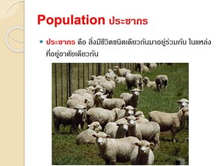 Population ประชากร
 ประชากร คือ สิ่งมีชีวิตชนิดเดียวกันมาอยู่ร่วมกัน ในแหล่ง
ที่อยู่อาศัยเดียวกัน
 