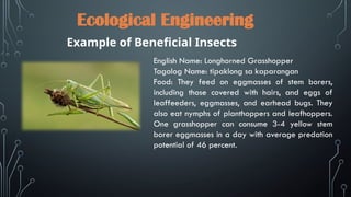 Ecological engineering-Guide to Integrated Pest Management.pptx