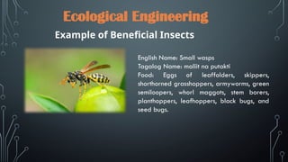 ecological engineering-integrated pest management.pptx