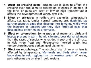 4. Effect on crossing over: Temperature is seen to affect the
crossing over and somatic expression of genes in animals. If
the larva or pupa are kept at low or high temperature it
affects the development of wings, eyes etc.
5. Effect on sex-ratio: In rotifers and daphnids, temperature
affects sex ratio. Under normal temperature, daphnids lay
parthenogenetic eggs that develop into females, while with
the increase in temperature they give fertilised eggs that
develop into either males or females.
6. Effect on colouration: Some species of mammals, birds and
insects present in warm humid climates, bear darker pigment
than the races of species who resides in cool and dry climate.
In Hyla (tree frog) and Phrynosoma (horned toad), low
temperature induces darkening of pigments.
7. Effect on morphology: The absolute size of an organism is
affected by temperature. Mammals and birds attain larger
body sizes in cold regions than in warmer areas. Whereas,
poikilotherms are smaller in cold regions.
 