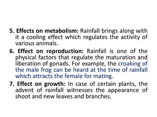 5. Effects on metabolism: Rainfall brings along with
it a cooling effect which regulates the activity of
various animals.
6. Effect on reproduction: Rainfall is one of the
physical factors that regulate the maturation and
liberation of gonads. For example, the croaking of
the male frog can be heard at the time of rainfall
which attracts the female for mating.
7. Effect on growth: In case of certain plants, the
advent of rainfall witnesses the appearance of
shoot and new leaves and branches.
 