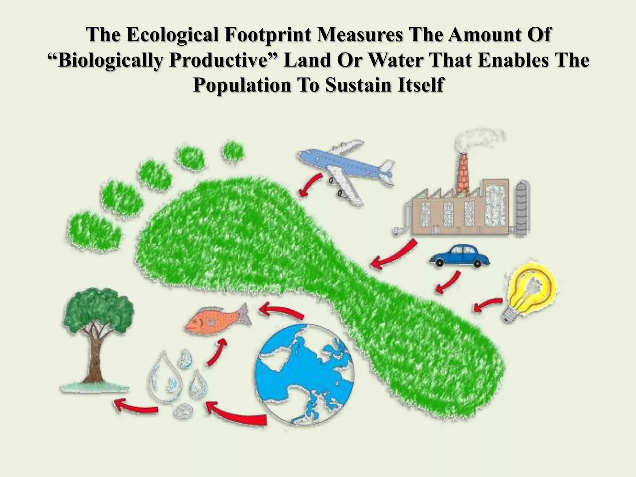 Ecological Footprint (1).pptx
