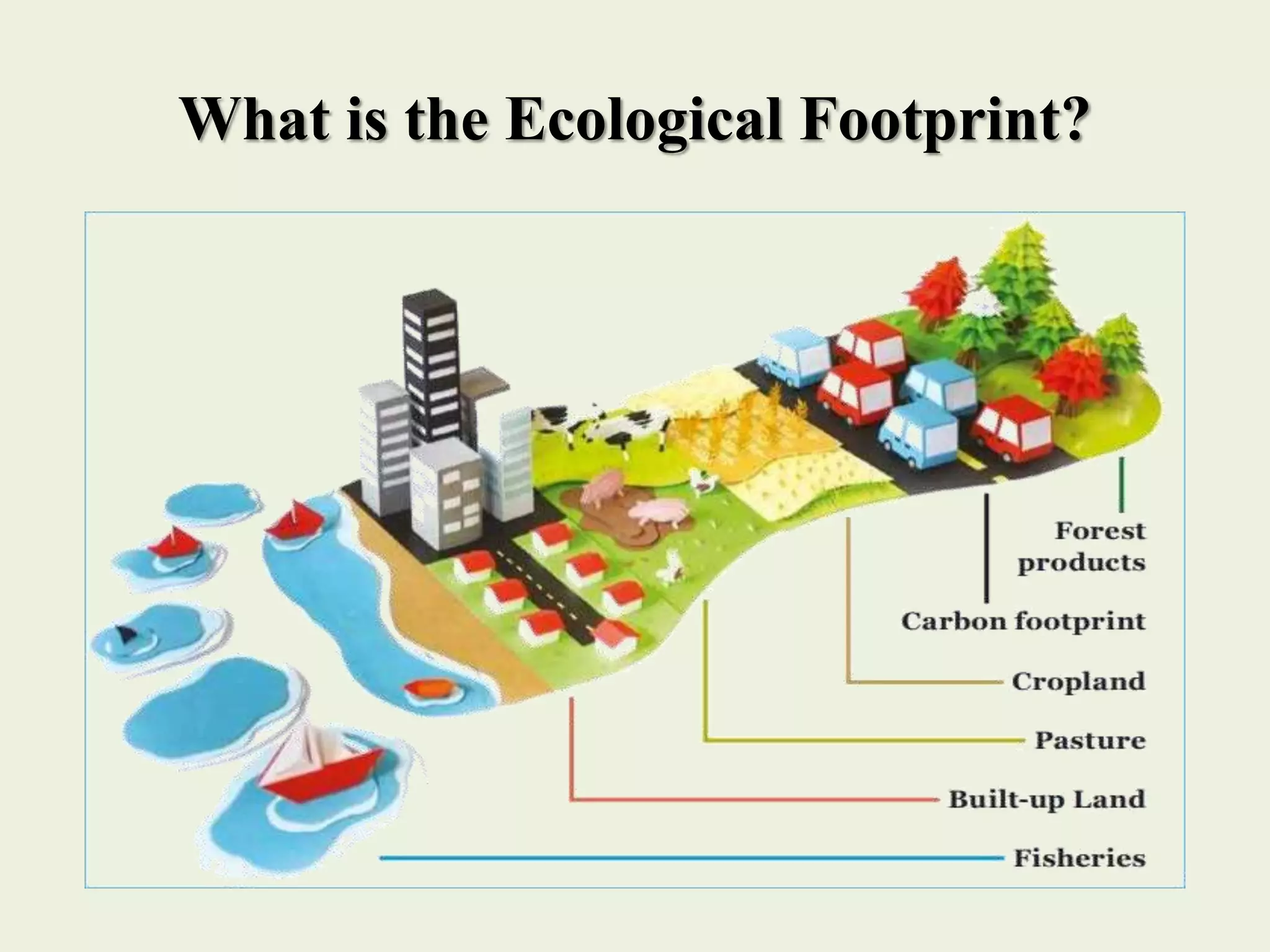Ecological Footprint (1).pptx