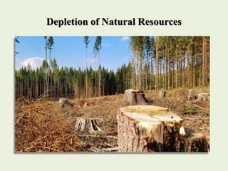 Depletion of Natural Resources
 