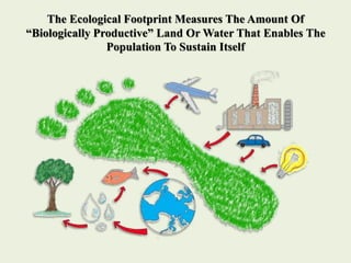 The Ecological Footprint Measures The Amount Of
“Biologically Productive” Land Or Water That Enables The
Population To Sus...