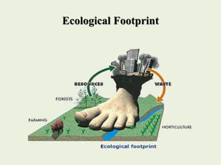 Ecological Footprint
 