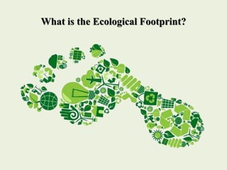 What is the Ecological Footprint?
 
