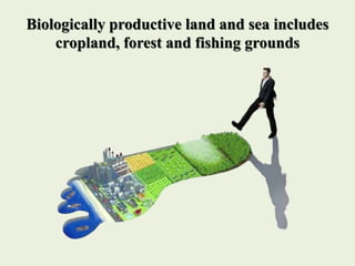 Biologically productive land and sea includes
cropland, forest and fishing grounds
 