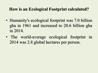 How is an Ecological Footprint calculated?
• Humanity's ecological footprint was 7.0 billion
gha in 1961 and increased to ...