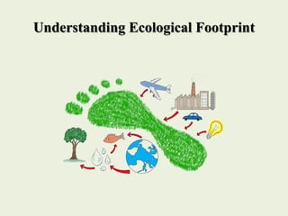 Understanding Ecological Footprint
 