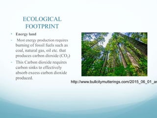 ECOLOGICAL
FOOTPRINT
• Energy land
- Most energy production requires
burning of fossil fuels such as
coal, natural gas, oil etc. that
produces carbon dioxide (CO2)
- This Carbon dioxide requires
carbon sinks to effectively
absorb excess carbon dioxide
produced.
http://www.bullcitymutterings.com/2015_06_01_ar
 