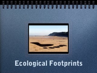 Ecological Footprints
 