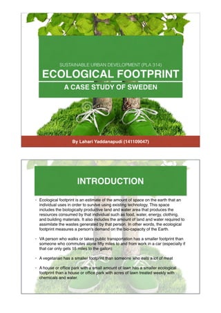 Ecological footprint 
