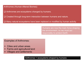 Understanding and Reducing Our Ecological Footprint for a Sustainable ...