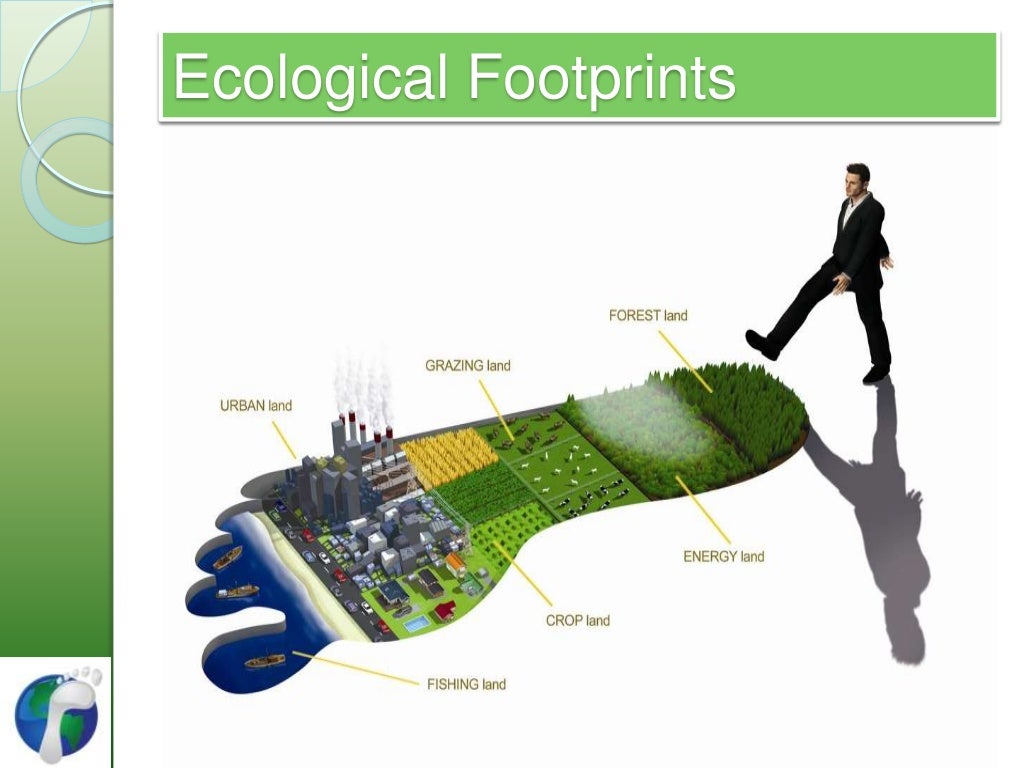 Ecological foot prints