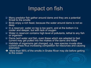 Ecological impacts of dams and water diversions | PPT