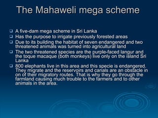 Ecological impacts of dams and water diversions | PPT