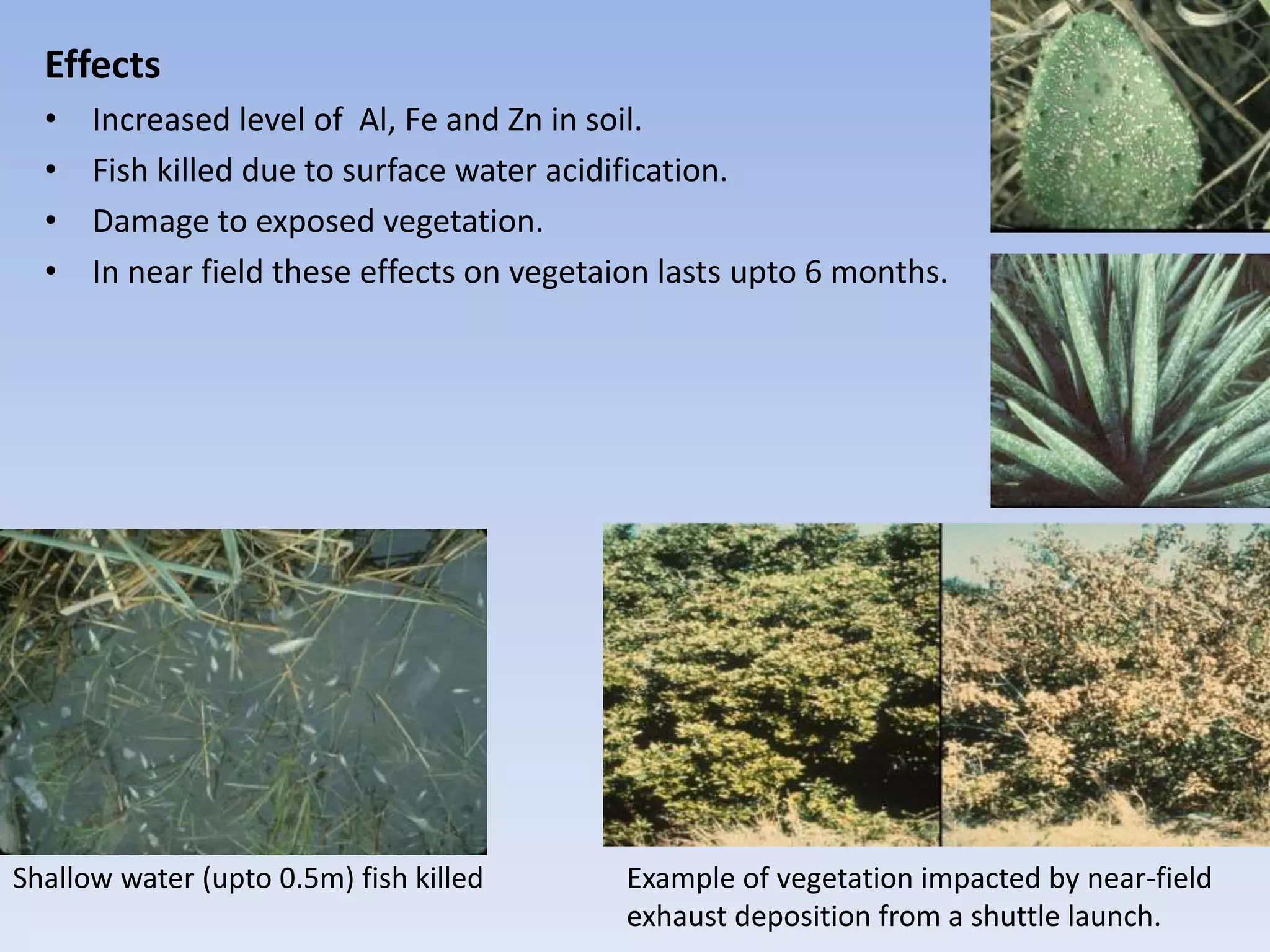 Effects
• Increased level of Al, Fe and Zn in soil.
• Fish killed due to surface water acidification.
• Damage to exposed vegetation.
• In near field these effects on vegetaion lasts upto 6 months.
Example of vegetation impacted by near-field
exhaust deposition from a shuttle launch.
Shallow water (upto 0.5m) fish killed
 