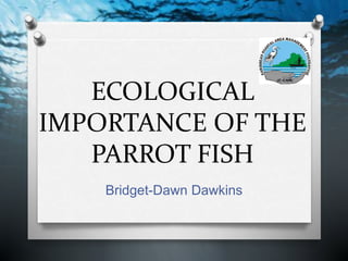 ECOLOGICAL
IMPORTANCE OF THE
PARROT FISH
Bridget-Dawn Dawkins
 