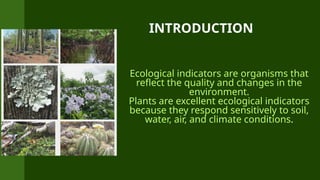 Plants as Ecological Indicators: Monitoring Environmental Health and ...