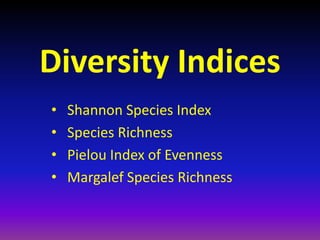Diversity Indices 
• Shannon Species Index 
• Species Richness 
• Pielou Index of Evenness 
• Margalef Species Richness 
 
