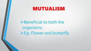 MUTUALISM
Beneficial to both the
organisms.
Eg: Flower and butterfly
 